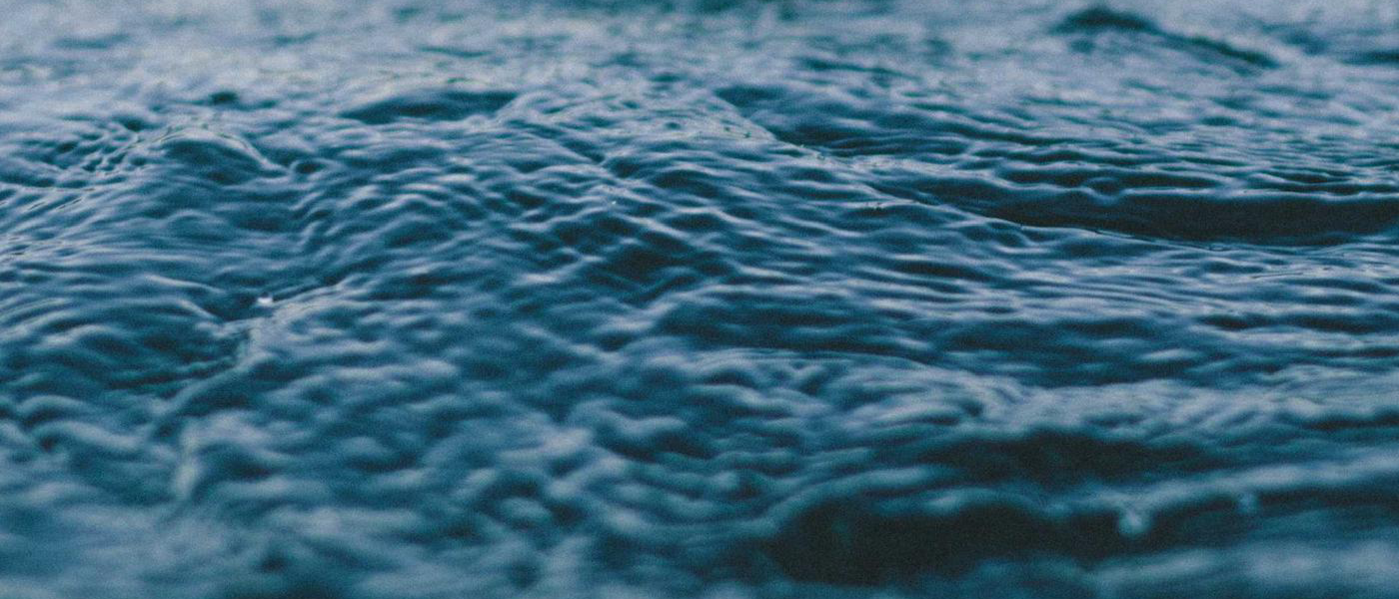 Theory and Algorithms